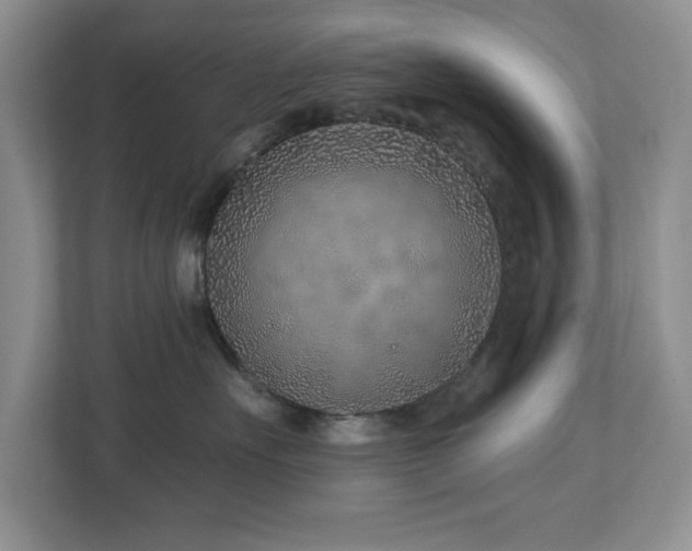 X0000112940527200908241323