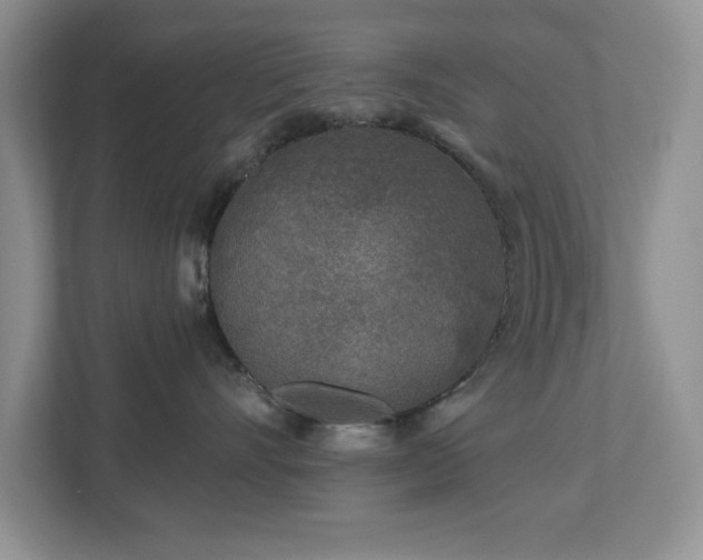 X0000112940528200908241323