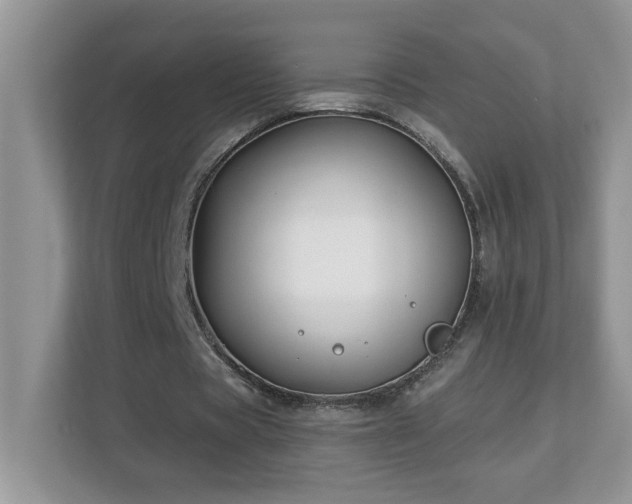 X0000112940529200908241322