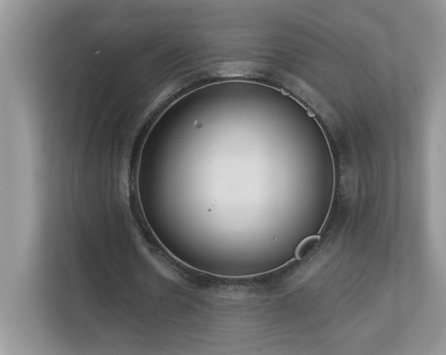 X0000112940530200908241322