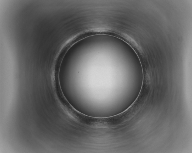 X0000112940535200908241322