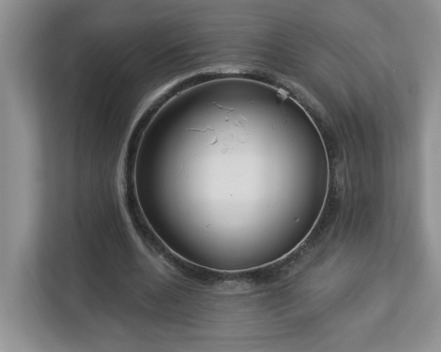 X0000112940536200908241322