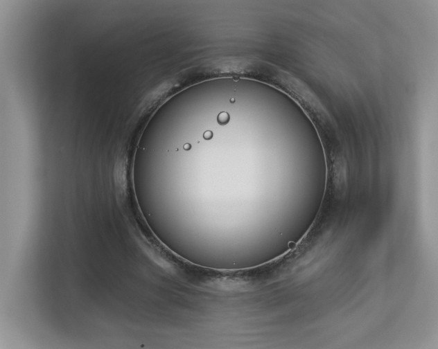 X0000112940537200908241322