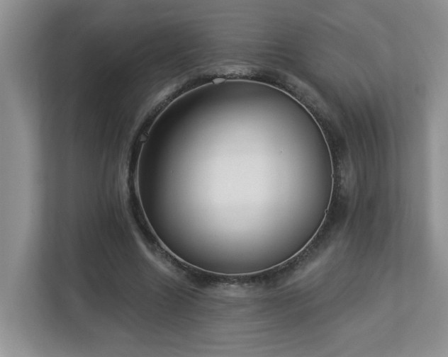X0000112940538200908241322