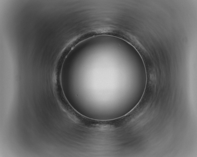 X0000112940539200908241322
