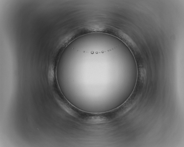 X0000112940541200908241322