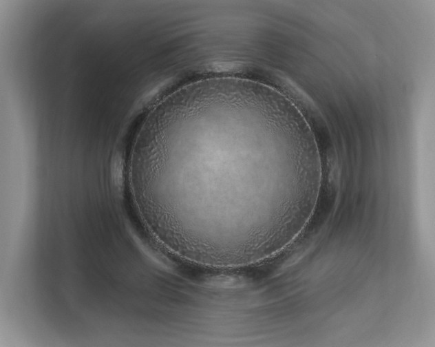 X0000112940542200908241322