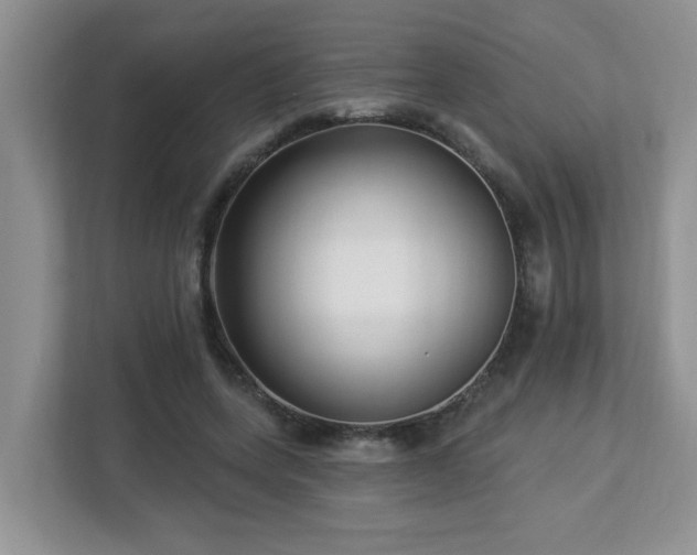 X0000112940543200908241322
