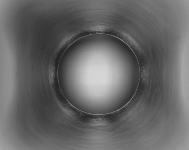 X0000112940544200908241322