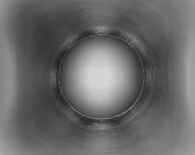 X0000112940545200908241322
