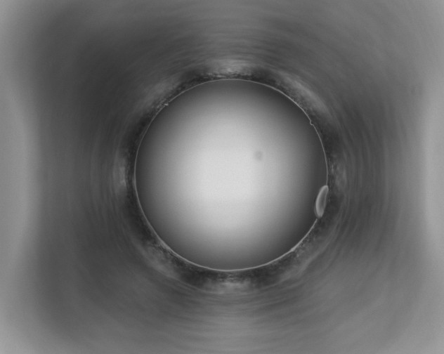 X0000112940546200908241322