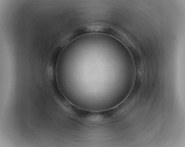 X0000112940551200908241322