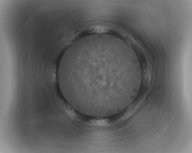 X0000112940553200908241322