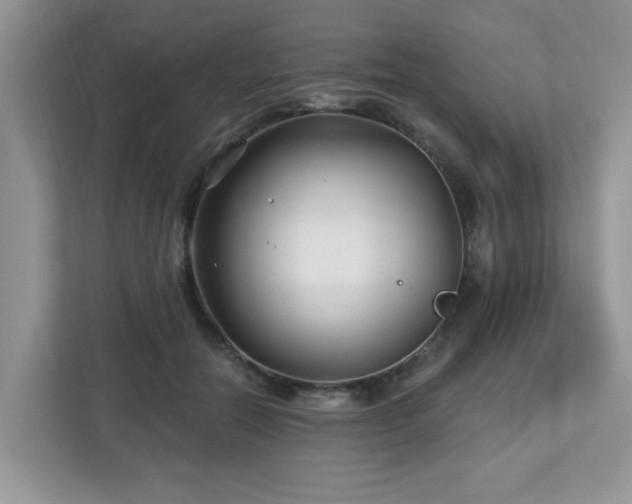 X0000112940554200908241322