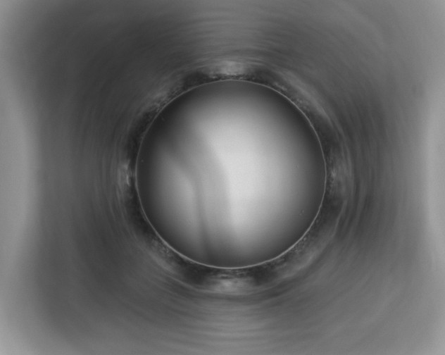 X0000112940555200908241322