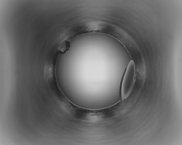 X0000112940556200908241322