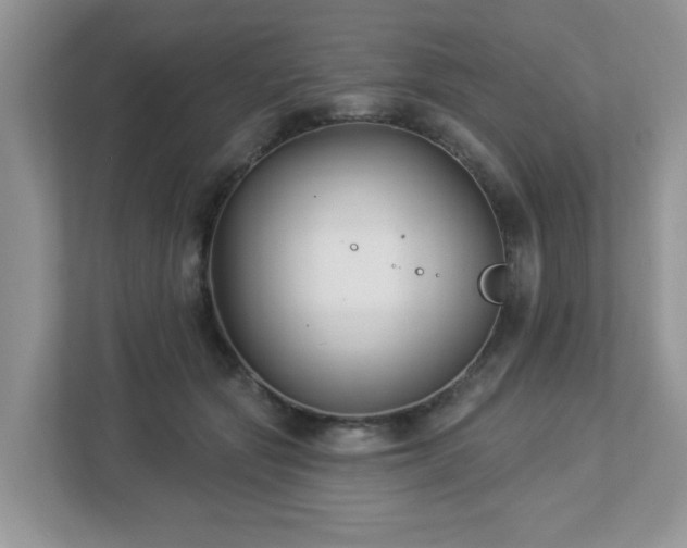 X0000112940557200908241322