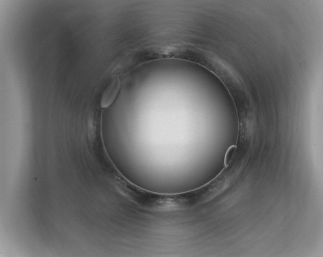 X0000112940558200908241322