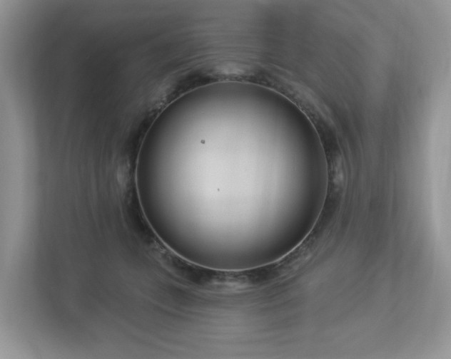 X0000112940559200908241322