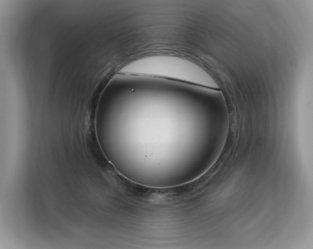 X0000112940560200908241322