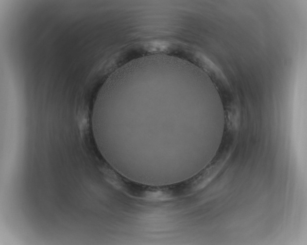 X0000112940561200908241322