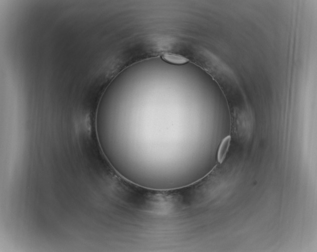 X0000112940562200908241322