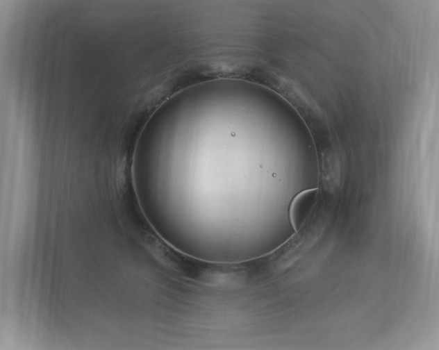 X0000112940563200908241322