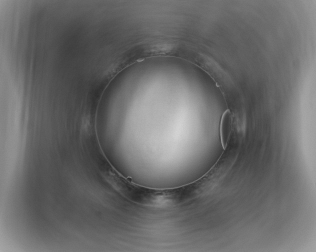X0000112940564200908241323
