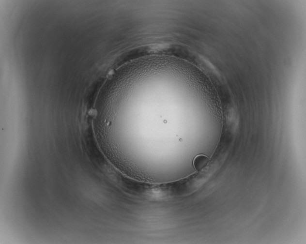 X0000112940565200908241323