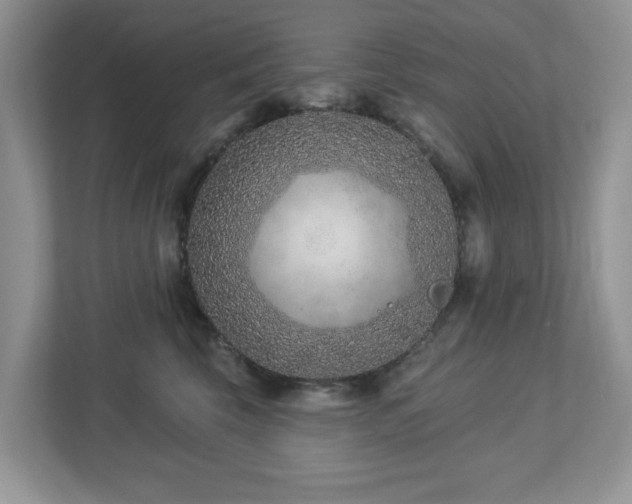 X0000112940569200908241323