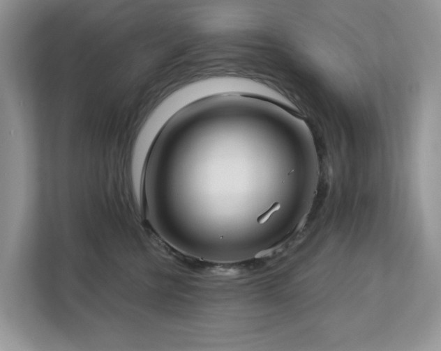 X0000112940570200908241323
