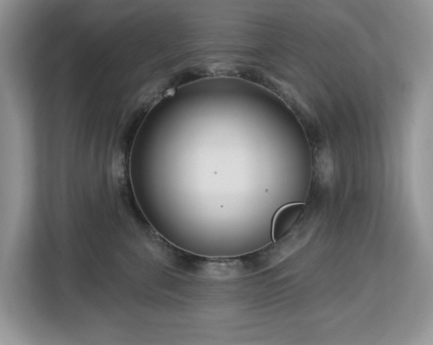X0000112940571200908241323