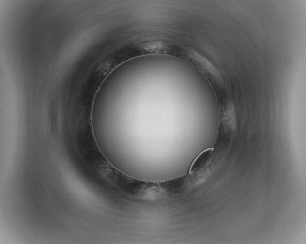 X0000112940572200908241323