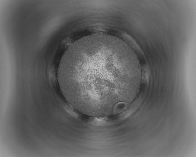 X0000112940573200908241323