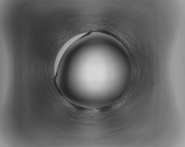 X0000112940576200908241323