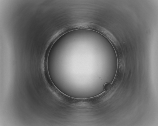 X0000112940578200908241322