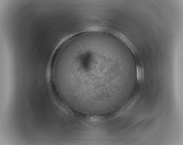 X0000112940579200908241322