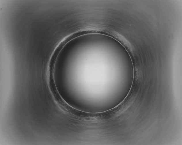 X0000112940580200908241322
