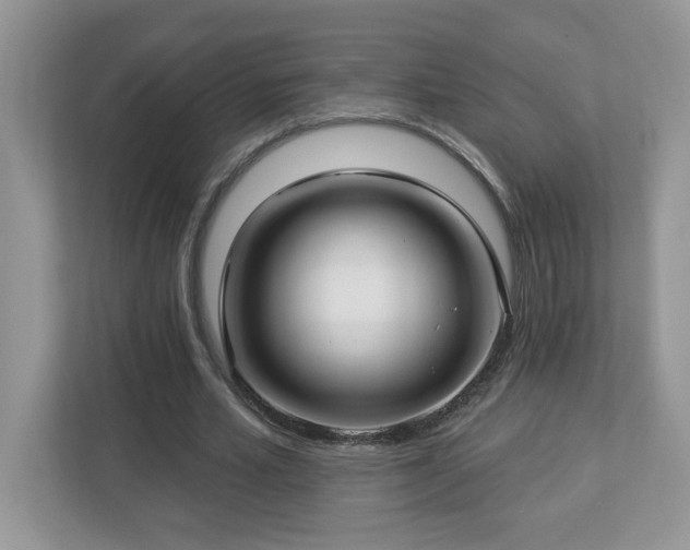 X0000112940581200908241322