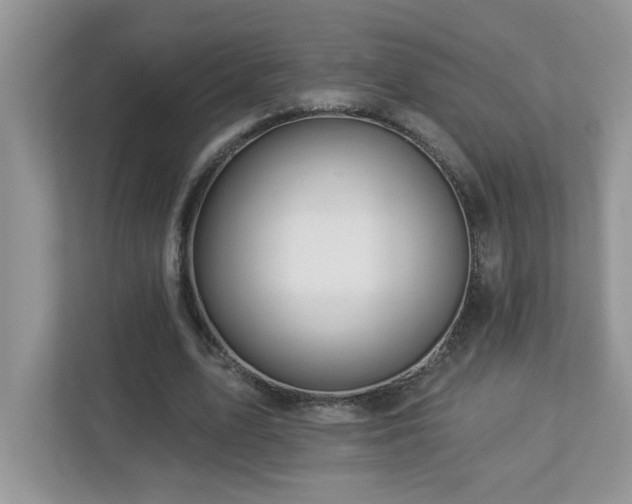 X0000112940583200908241322
