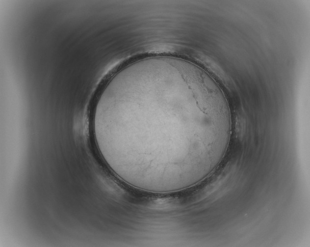 X0000112940584200908241322