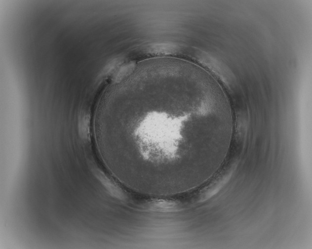 X0000112940585200908241322
