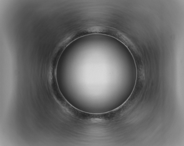 X0000112940586200908241322