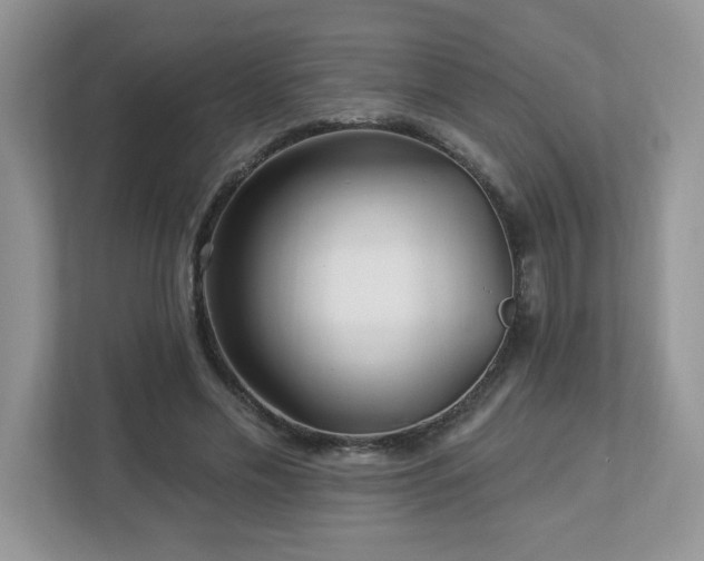 X0000112940589200908241322