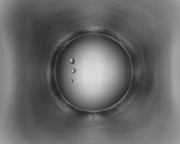 X0000112940591200908241322
