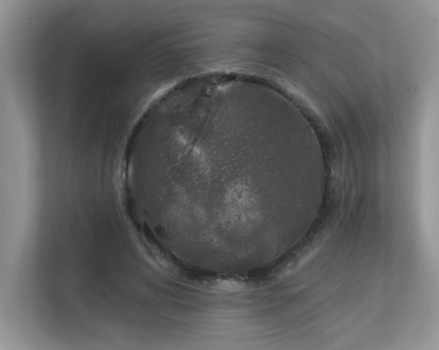 X0000112940592200908241322
