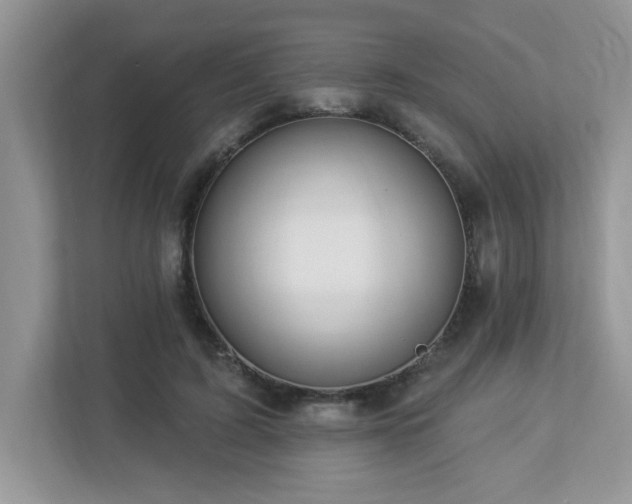 X0000112940595200908241322