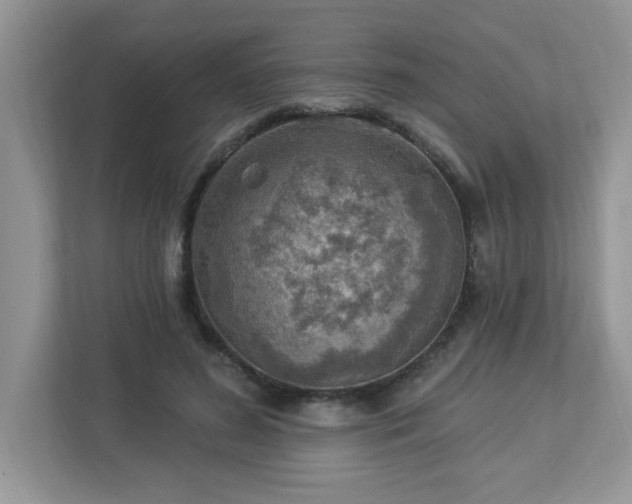 X0000112940596200908241322