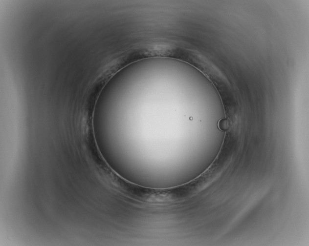 X0000112940599200908241322
