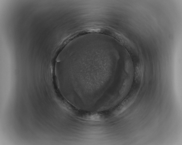 X0000112940600200908241322